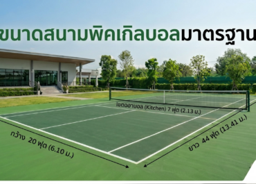 ขนาดมาตรฐานสนามพิคเกิลบอลตามกติกาสากล